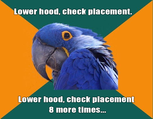 Paranoid Parrot Meme for hood pin installation